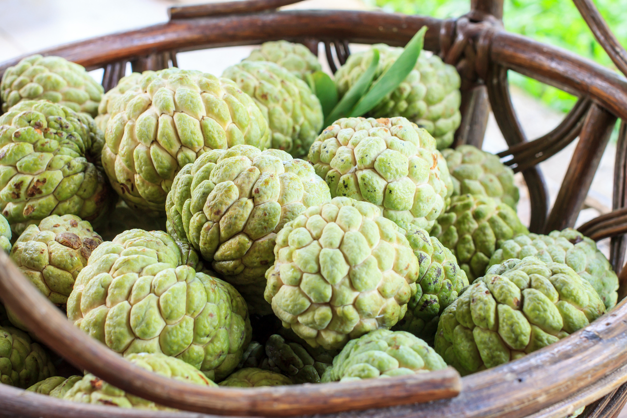 Custard apple fruit
